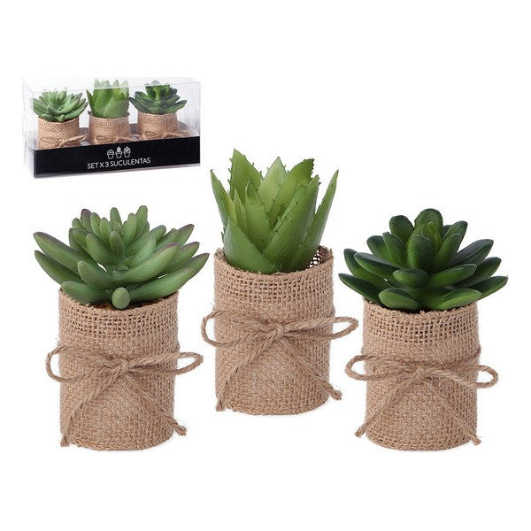 Decorative Plant 119626 Green (3 Pcs)