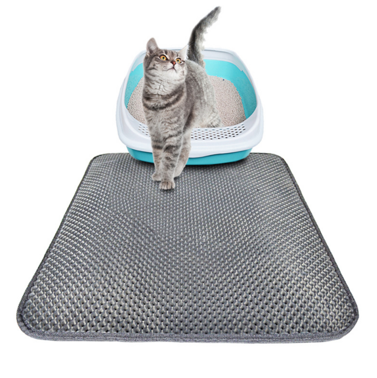 Lettiera a doppio strato Tappetini per gatti Pet Lettiera per gatti Zerbino Intrappolare animali domestici Lettiera Zerbino Prodotto per animali domestici Letto per gatti Casa Tappetino pulito