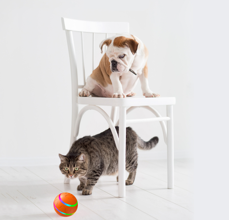 Pet New Cat Wicked Ball Toy Sfera intelligente USB Cat Toys Sfera autorotante Sfera di rotazione automatica