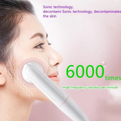Facial Cleansing Electric Facial Cleansing Brush 2 in 1 Sonic