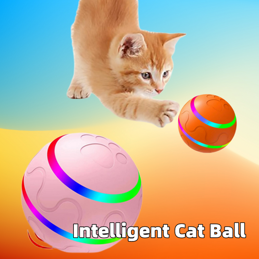 Pet New Cat Wicked Ball Toy Sfera intelligente USB Cat Toys Sfera autorotante Sfera di rotazione automatica