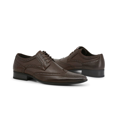 Duca di Morrone - SCOTT