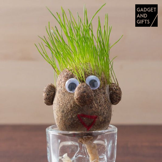 Egg Grass Head