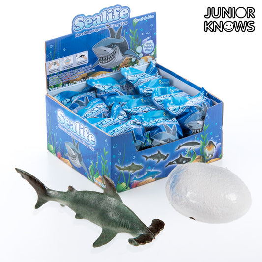 Junior Knows Egg with Fish