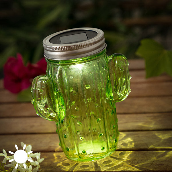 Solar Cactus Light (1 LED Light)