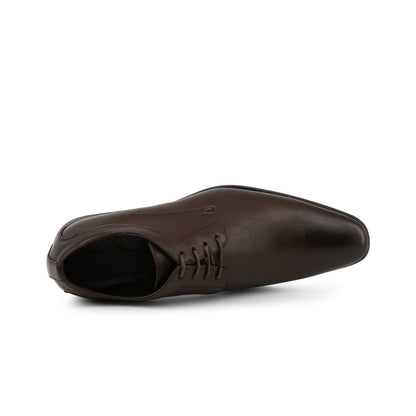 Duca di Morrone - AROLD 
