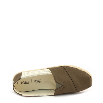 TOMS-10013528 